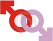 gay-male-icon