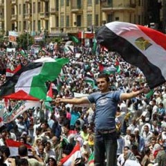 مصر تغني فلسطين / د.ياسر علوي